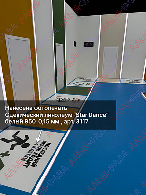 Фотопечать на сценическом линолеуме "Star Dance".png